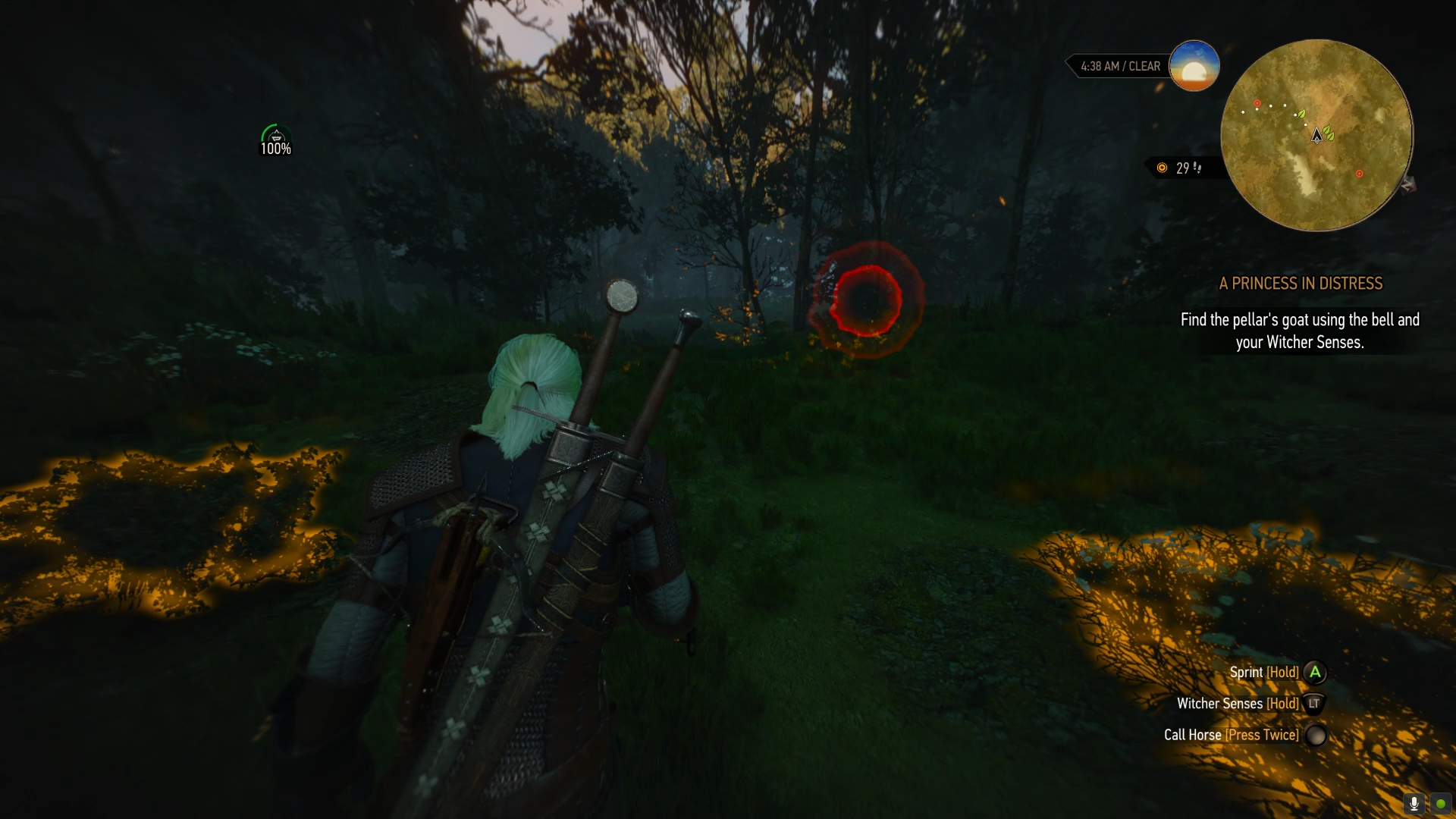 The Witcher 3 Strategy： A Princess in Distress (Main Quest) - Veren