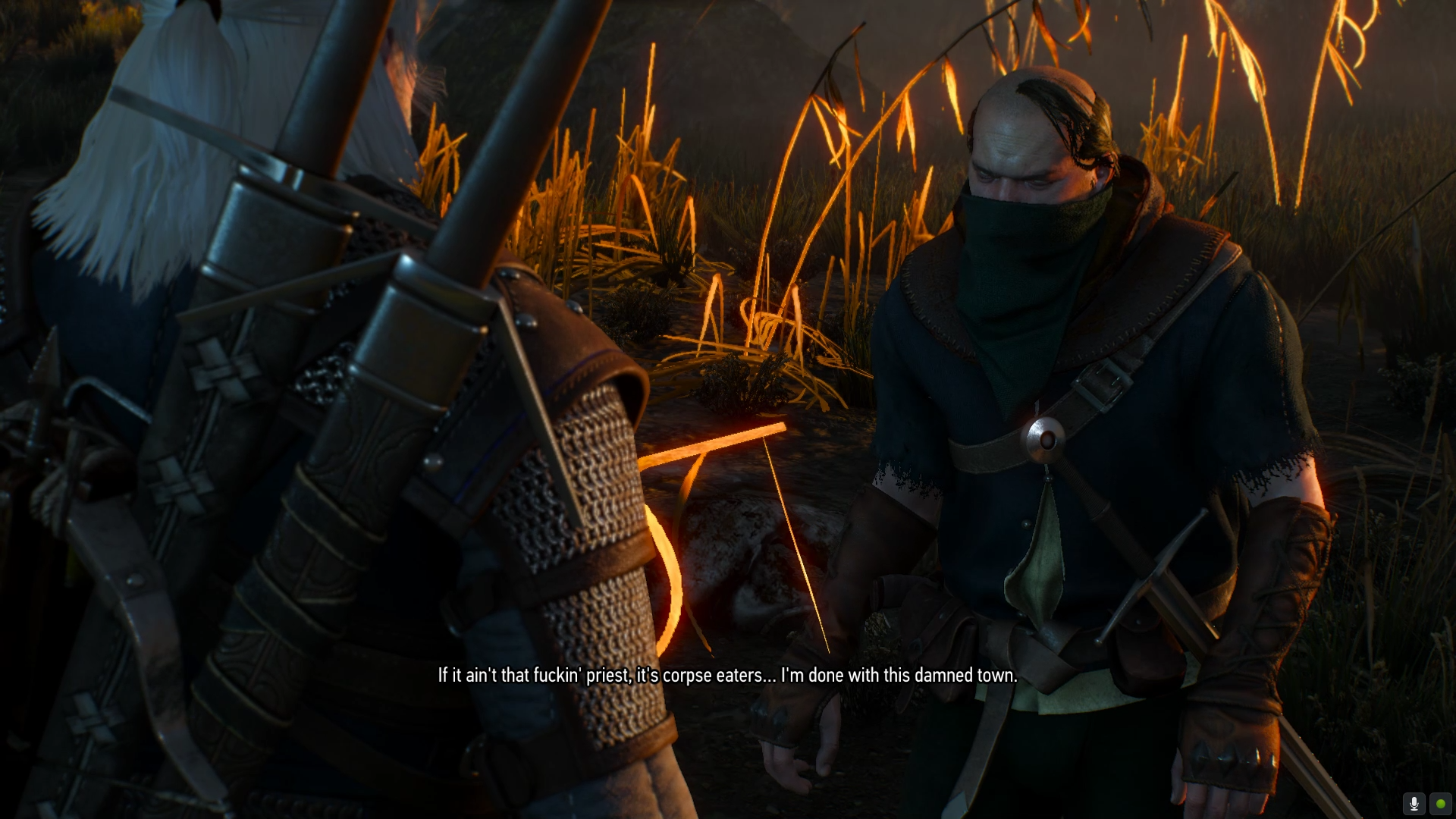 The Witcher 3 Strategy： Funeral Pyres (Secondary Quest) - Velen